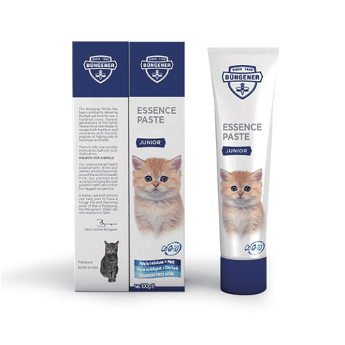 Bungener Essence Paste - Junior - 100g