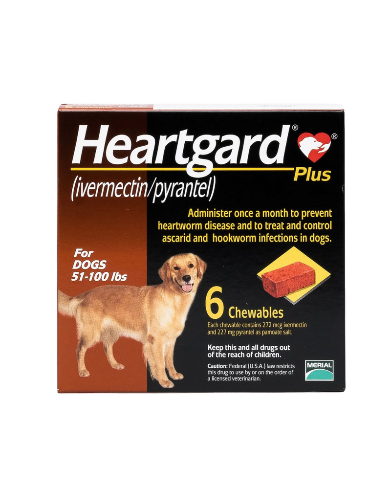 Heartgard - Plus Chewable Tablets - For Large Dogs 51-100 LBS (Brown) - 6 TABS
