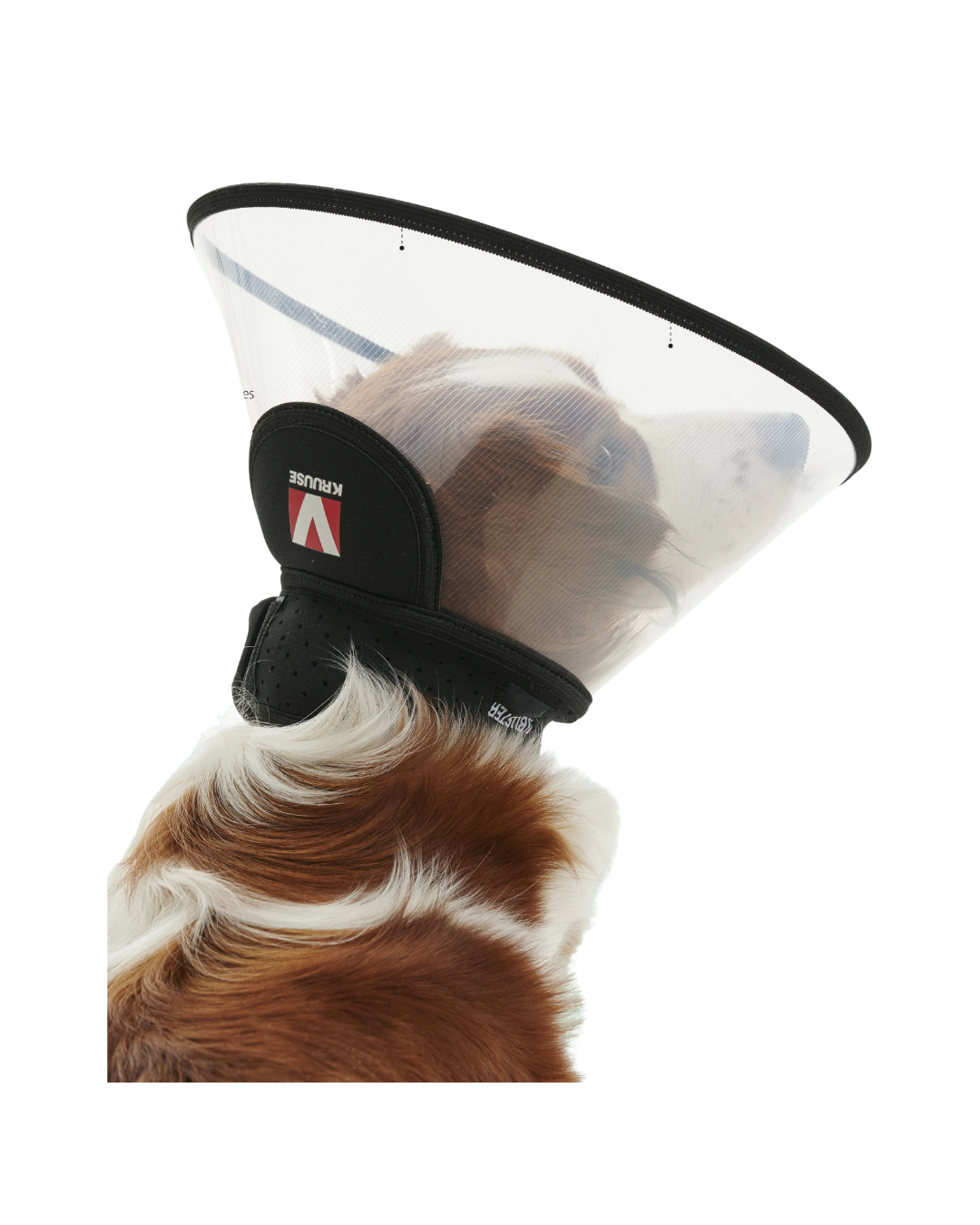 Buster - Complete Dog Collar 1-3kg - 7.5CM