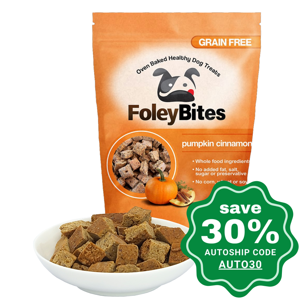 Foleybites - All-Natural Plant-Based Grain-Free Dog Treats Pumpkin & Cinnamon 400G Dogs