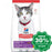 Hill's Science Diet - Dry Cat Food - Adult 11+ - 3.5LBs - PetProject.HK