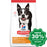 Hill's Science Diet - Dry Dog Food - Adult Light Small Bites - 12KG - PetProject.HK