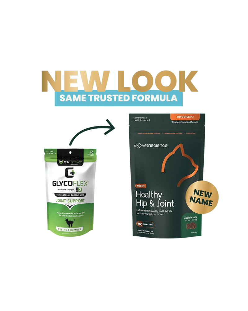 VetriScience - Joint Supplements for Cats - Glyco Flex II Feline Bite-Sized Chews - 60 Bite-Sized Chews