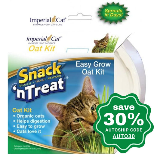Imperial Cat - Snack 'n Treat - Easy Grow Oat Kit - 1OZ - PetProject.HK
