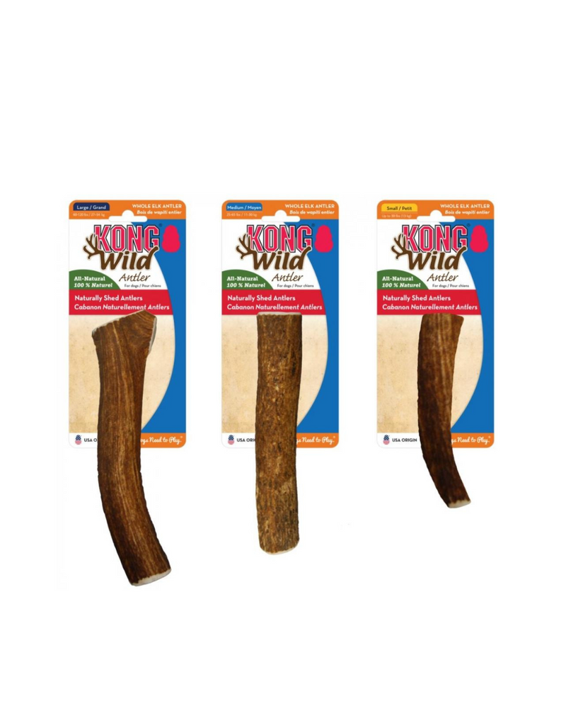 Kong - Wild Antler Whole - Large