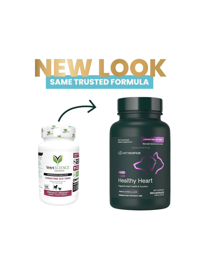 VetriScience - Supplements for Dogs & Cats - Canine & Feline Co Enzyme Q10 10mg - 100CAPS