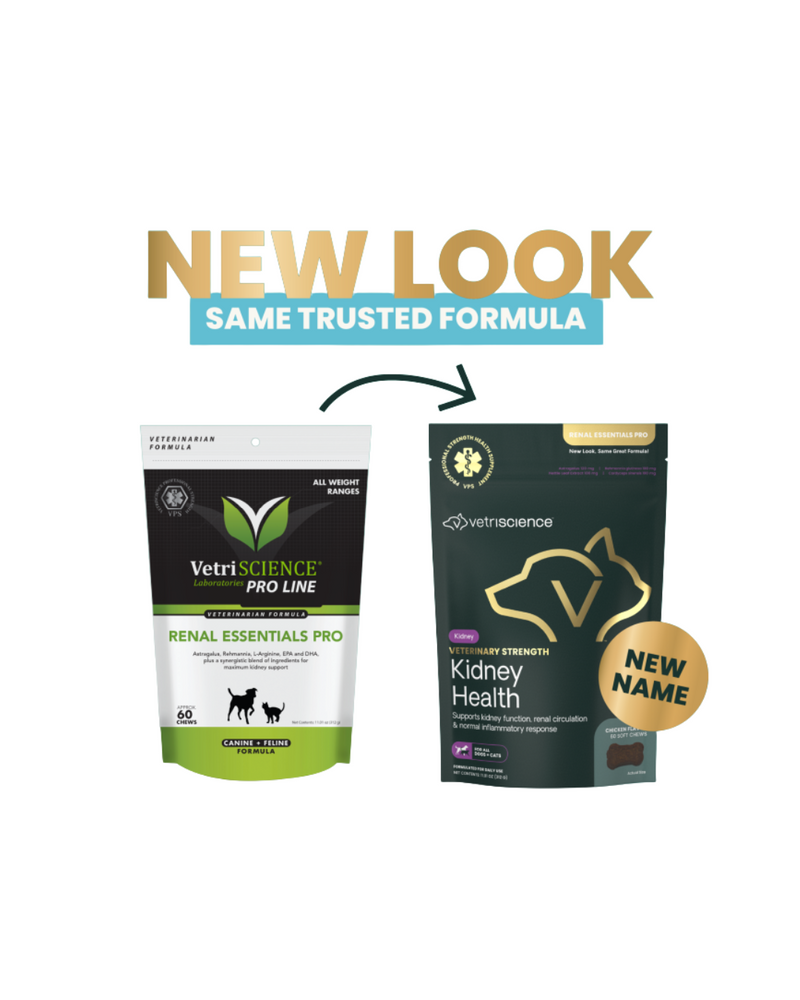 VetriScience - Supplements for Dogs & Cats - Canine & Feline Renal Essentials PRO Bite-Sized Chews - 60 Bite-Sized Chews