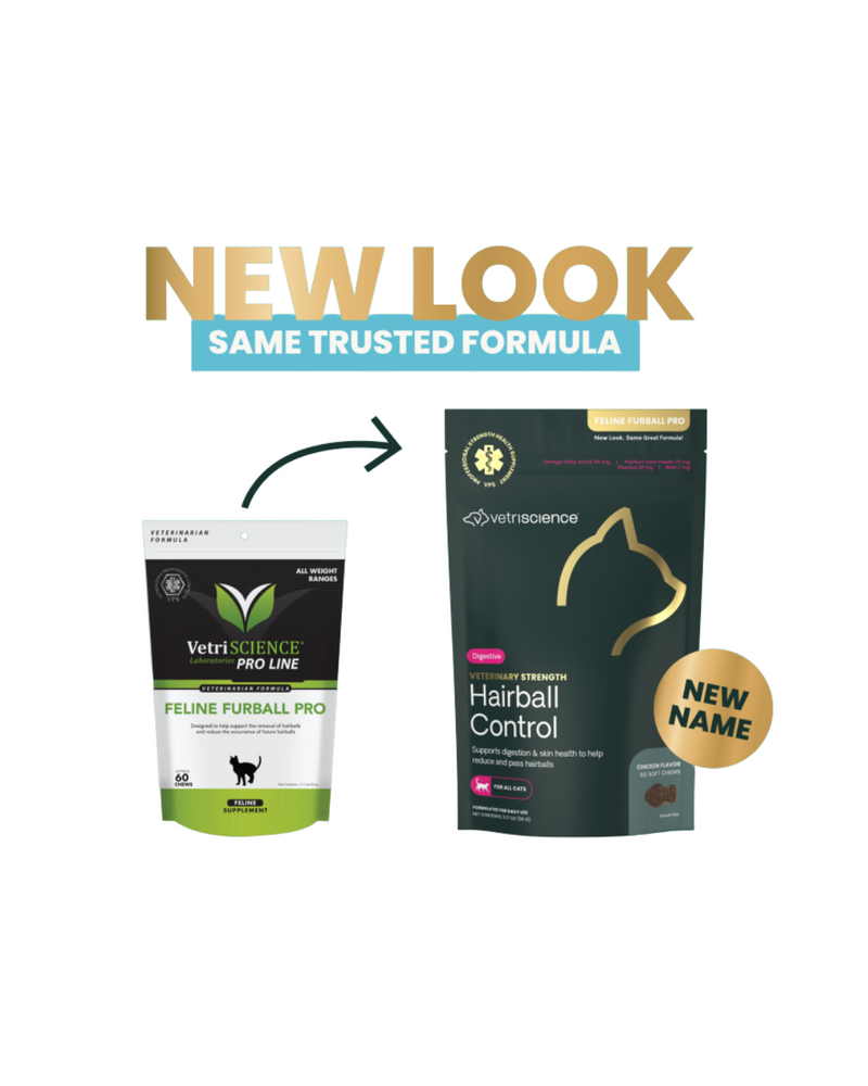 VetriScience - Supplements for Cats - Feline Furball PRO - 60 Bite-Sized Chews