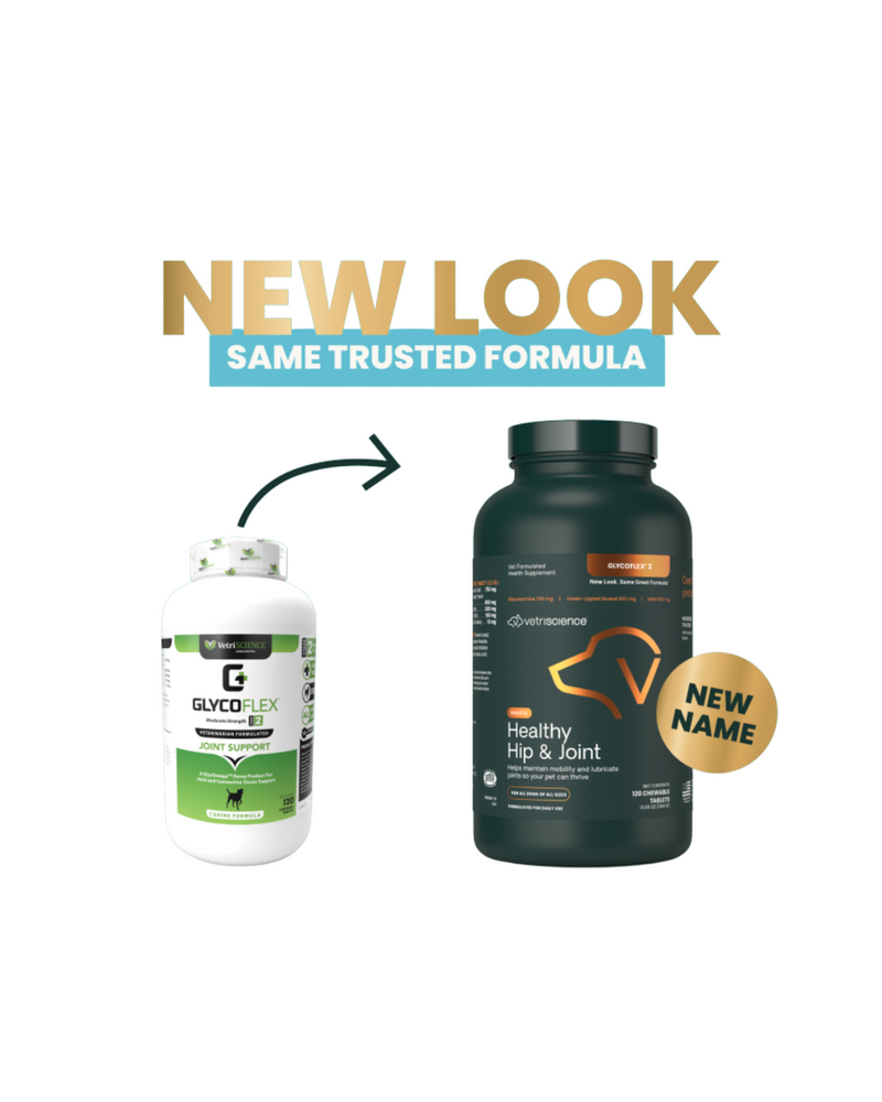 VetriScience - Joint Supplements for Dogs - Glyco Flex II Canine Chewable Tablets - 120TABS