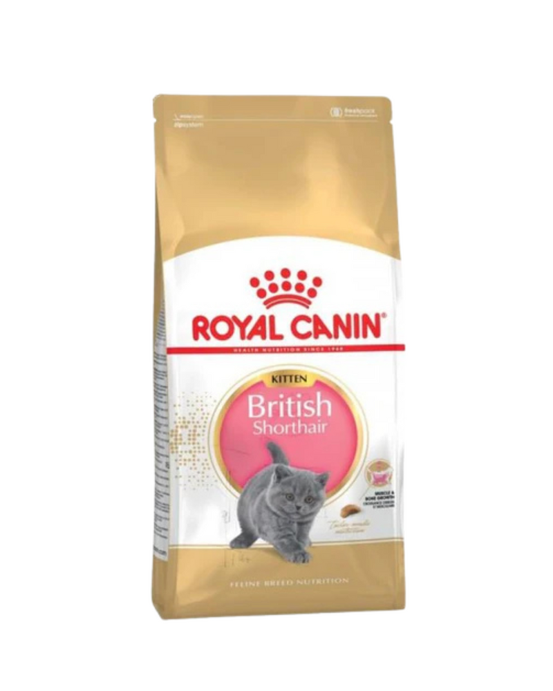Royal Canin - Cat Food British Shorthair Kitten - 2KG