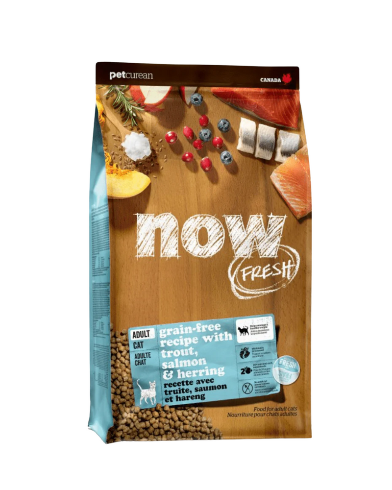 Now Fresh - 無穀物小型犬成犬乾糧 - 火雞、鮭魚和鴨肉 - 6磅