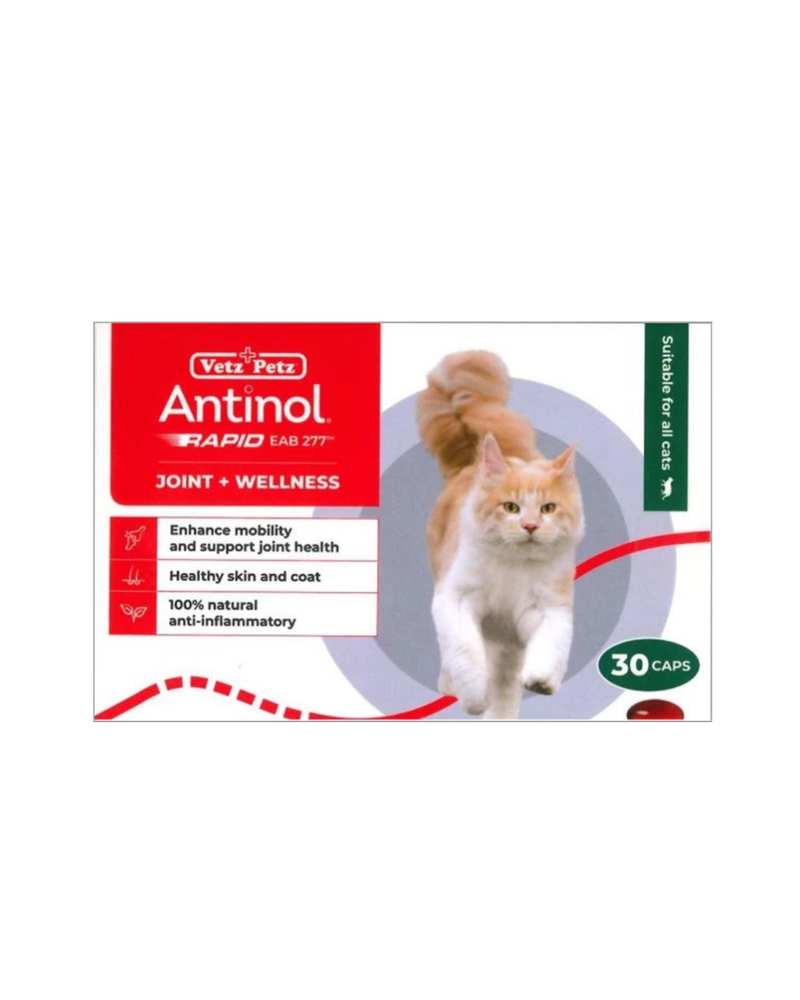 Antinol® Rapid for cats - 30 Capsule