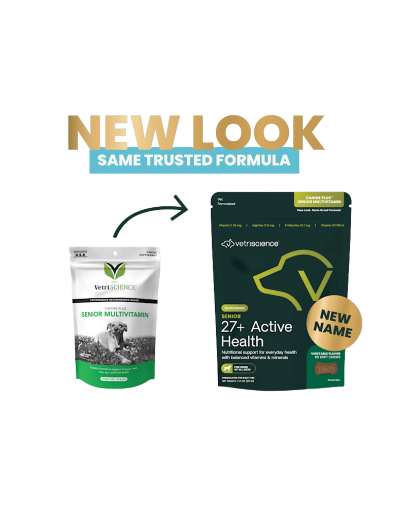 VetriScience - Supplements for Dogs - Canine Plus Senior Multivitamin Bite-Sized Chews - 60 Bite-Sized Chews