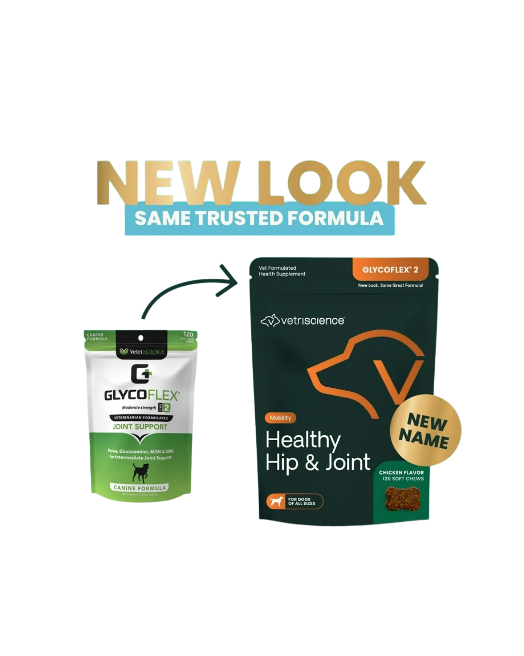 VetriScience - Joint Supplements for Dogs - Glyco Flex II Canine Bite-Sized Chews - 120 Bite-Sized Chews - PetProject.HK