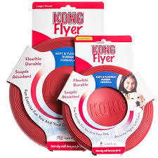 Kong - Flyer - Large - PetProject.HK