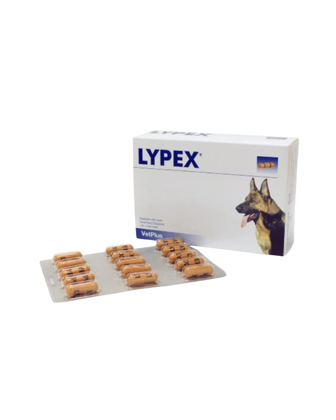 VetPlus - Lypex Pancreatic Enzyme Capsule for Dogs - 60 CAPS - PetProject.HK