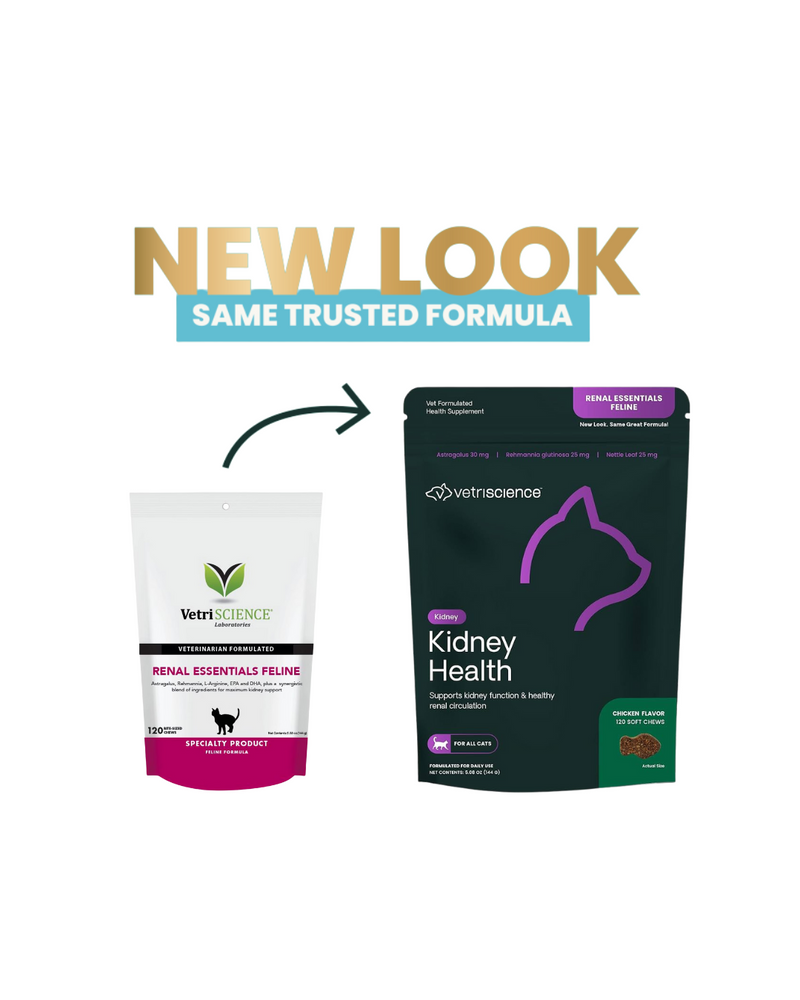VetriScience - Supplements for Cats - Feline Renal Essentials Bite-Sized Chews - 120 Bite-Sized Chews
