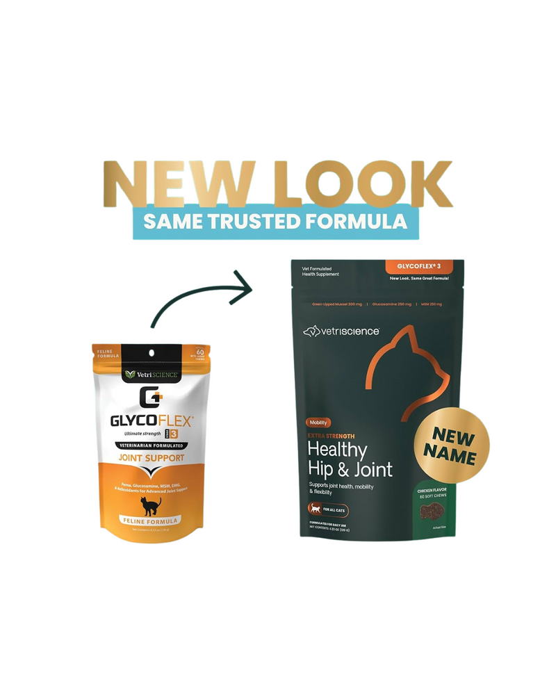 VetriScience - Joint Supplements for Cats - Glyco Flex III Feline Bite-Sized Chews - 60 Bite-Sized Chews
