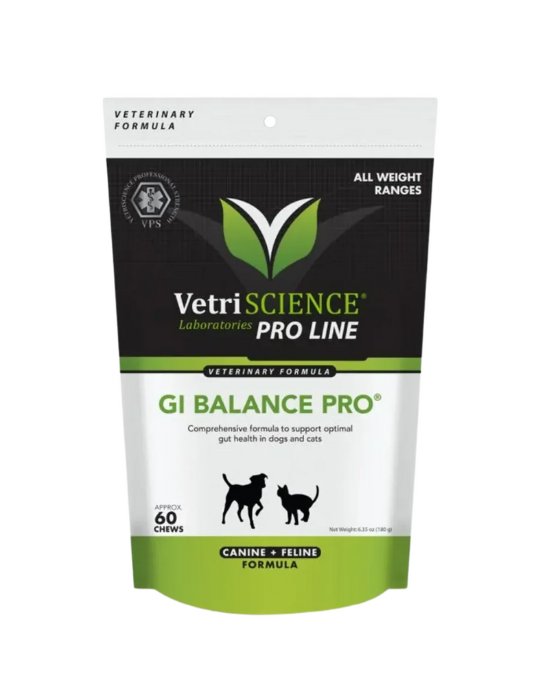 VetriScience - Gastrointestinal Supplements for Dogs & Cats - GI Balance PRO Bite-Sized Chews - 60 PRO Bite-Sized Chews