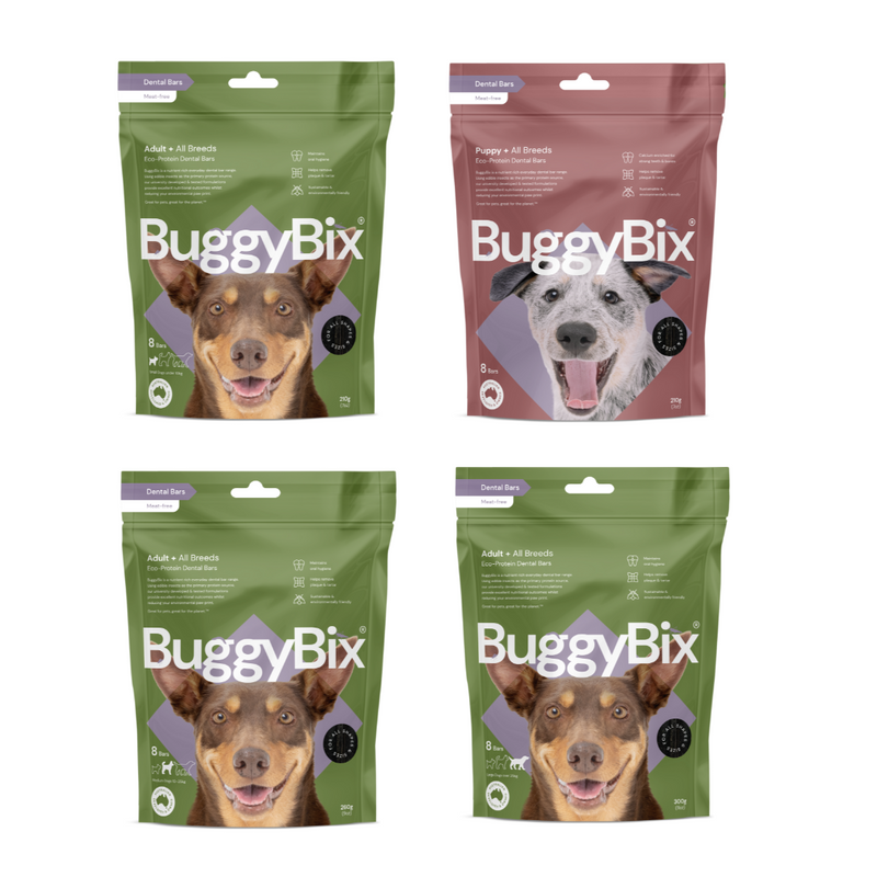 BuggyBix - 幼犬及成犬專用潔牙零食 - 生態蛋白潔牙棒