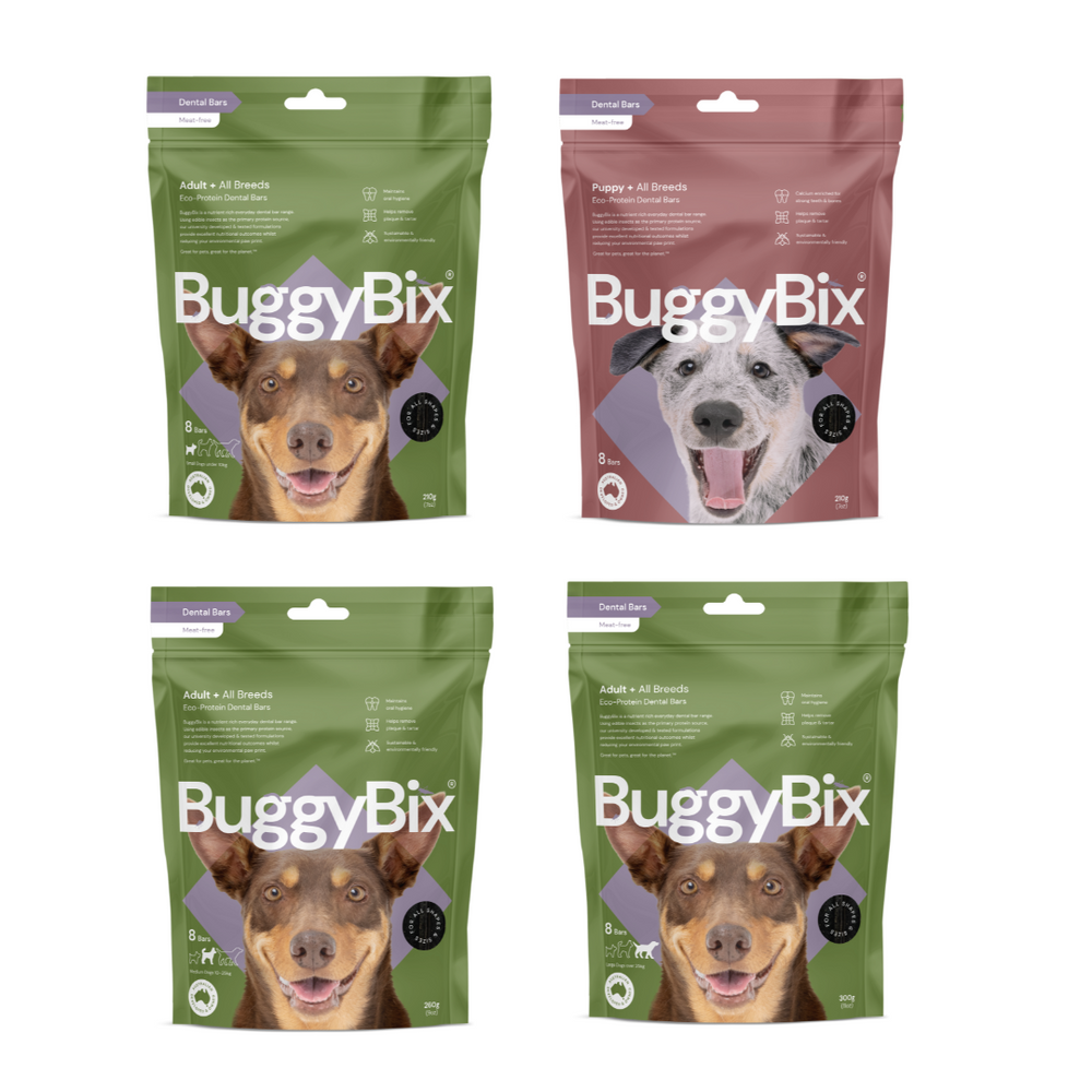 BuggyBix - Dental Treats For Puppy & Dogs - Eco-Protein Dental Bars