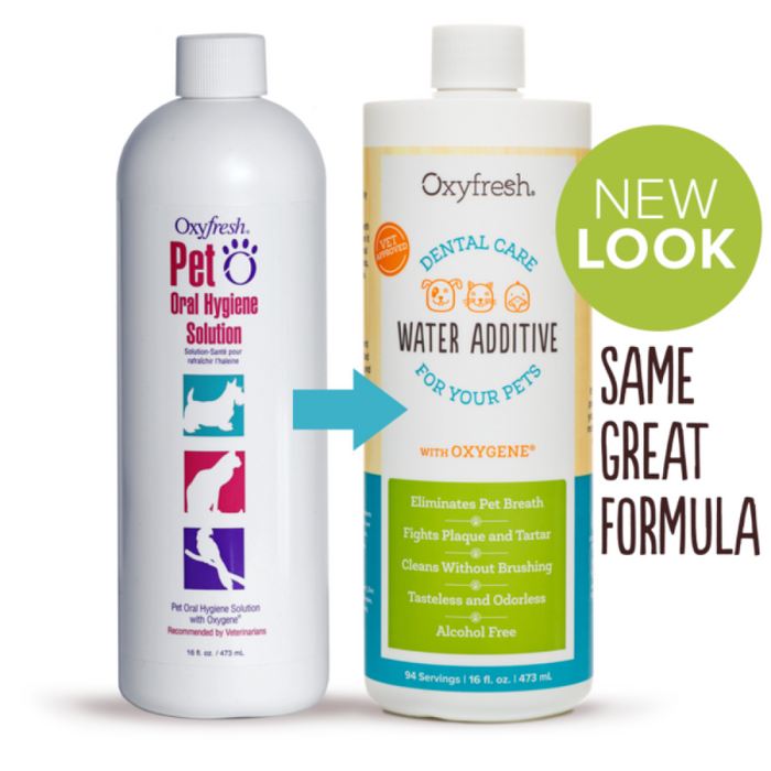 Oxyfresh - Oral Hygiene Solution - 473ML - PetProject.HK