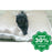 Poochpad - Absorbent & Odor Resistant Dog Beds S (30 X 21) Dogs Cats