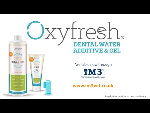 Oxyfresh - Water Additive - 250ML