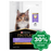 Purina - Pro Plan Kitten Dry Cat Food Chicken 8Kg Cats