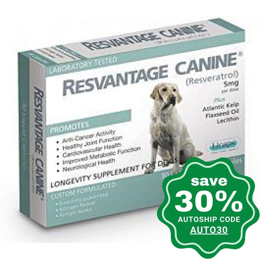 Resvantage - Canine Longevity Supplement For Dogs (30 Capsules) - PetProject.HK