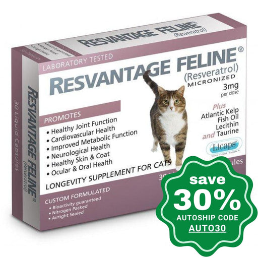 Resvantage Feline Longevity Supplement for Cats (30 Capsules) - PetProject.HK