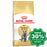 Royal Canin - Adult Cat Food - British Shorthair - 2KG - PetProject.HK