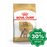 Royal Canin - Adult Dog Food Poodle 3Kg Dogs