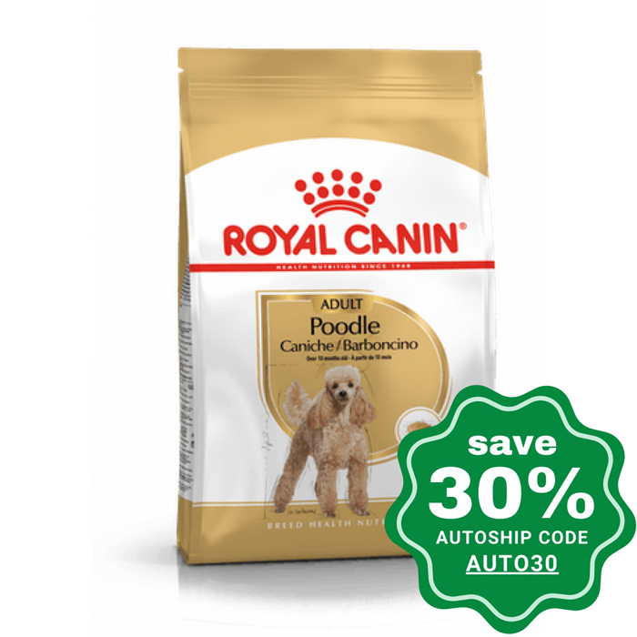 Royal Canin - Adult Dog Food Poodle 3Kg Dogs