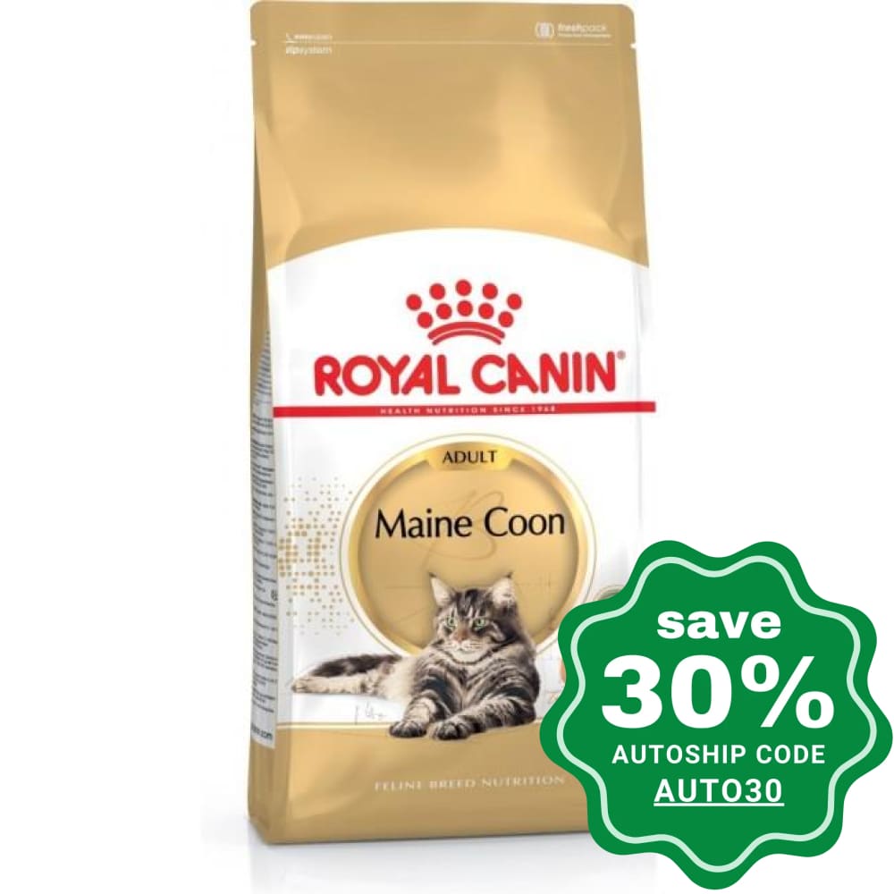 Royal Canin - Maine Coon Adult Cat Food - 10KG - PetProject.HK