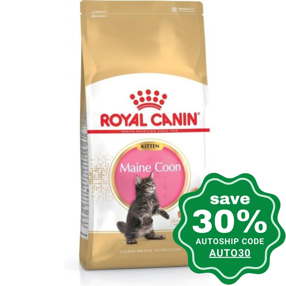 Royal Canin - Maine Coon Kitten Cat Food - 10KG - PetProject.HK