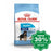 Royal Canin - Maxi Puppy Dog Food 15Kg Dogs