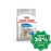 Royal Canin - Mini Adult Dog Food (Light Weight Care) - 8KG - PetProject.HK