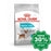 Royal Canin - Urinary Dog Dry Food 8Kg Dogs