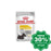 Royal Canin - Wet Food Dermacomfort 85G (Min. 12 Pouches) Dogs