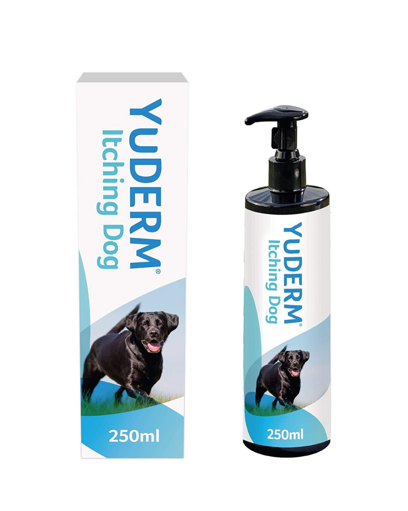 Lintbells - YuDERM - Skin & Coat Health - Itchy or Sensitive Skin Essential Omega Oils Supplement for Dogs - 250ML