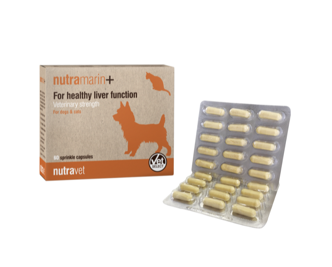 Nutravet - 狗和貓的補充劑 - Nutramarin+ 肝功能 - 60 粒膠囊