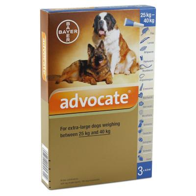 Bayer - Advocate for Dogs 25-40 kg - 3 Tubes - PetProject.HK