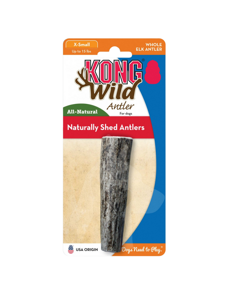 Kong - Wild Antler Whole - XSmall