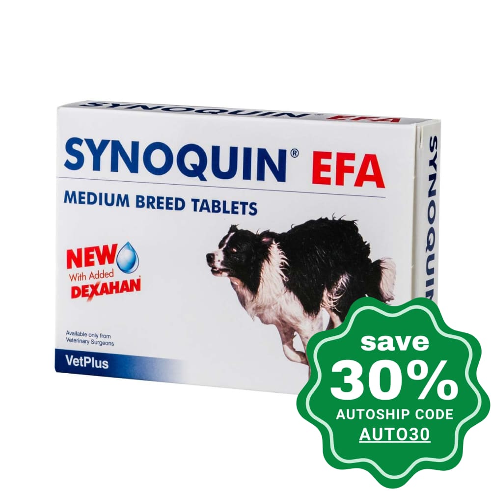 VetPlus - SYNOQUIN EFA for Dogs Joint Support 10-25kg - 90TAB - PetProject.HK