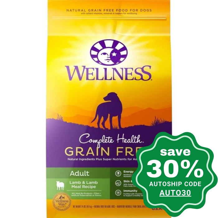 Wellness - Complete Health - Grain Free Dry Dog Food - Lamb & Lamb Meal - 24LB - PetProject.HK