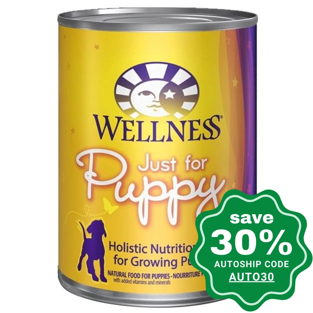 Wellness - Complete Health Puppies Wet Dog Food Beef With Carrots 12.5Oz (Min. 12 Cans) Dogs