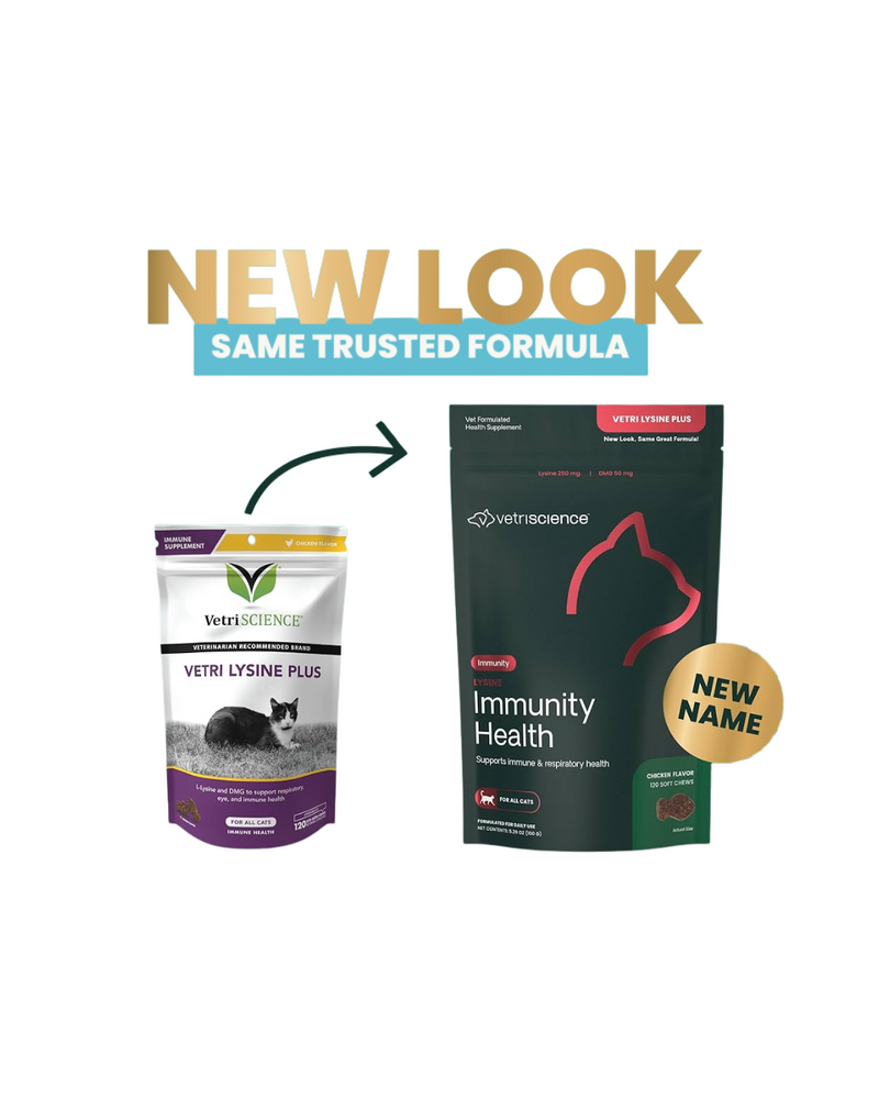 VetriScience - Immunity Supplements for Cats - Vetri Lysine Plus Bite-Sized Chews - 120 Bite-Sized Chews