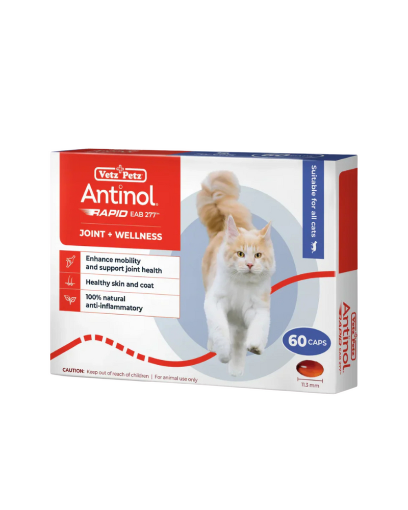 Antinol® Rapid for cats - 60 Capsule
