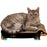 Imperial Cat - Animal Scratchers - Small Dachshund (9"D x 3.75"H x 15.5"W) - PetProject.HK